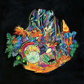 Kaitlyn Aurelia Smith- Ears ( Vinyl )
