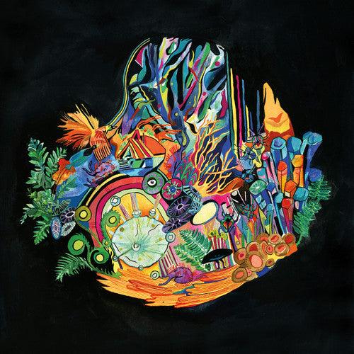 Kaitlyn Aurelia Smith- Ears ( Vinyl )