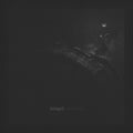 Doppelganger ( Vinyl )