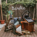 Slaughter Beach Dog- Birdie ( Vinyl )