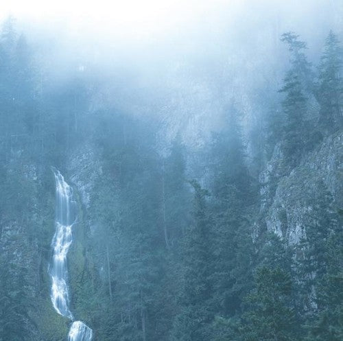 Wolves In The Throne Room- Diadem Of 12 Stars ( Vinyl )