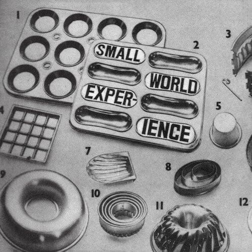 Small World Experience- Shelf-life ( Vinyl )