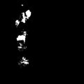Jack Rose- Red Horse White Mule ( Vinyl )