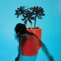 Local Natives- Sunlit Youth ( Vinyl )