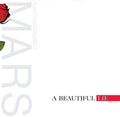 Thirty Seconds to Mars- A Beautiful Lie ( Vinyl )