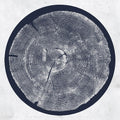 Roy Montgomery- R: Tropic Of Anodyne ( Vinyl )
