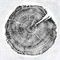 Roy Montgomery- M: Darkmotif Dancehall ( Vinyl )