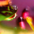 Bush Tetras- Take The Fall ( Vinyl )