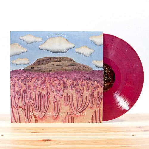 Post Animal- When I Think Of You In A Castle ( ( Vinyl )