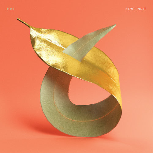 PVT- New Spirit ( Vinyl )