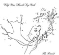 Clap Your Hands Say Yeah- The Tourist ( Vinyl )