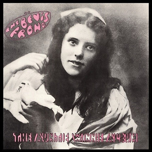 The Bevis Frond- The Auntie Winnie Album ( Vinyl )