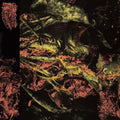 Hissing- Permanent Destitution ( Vinyl )
