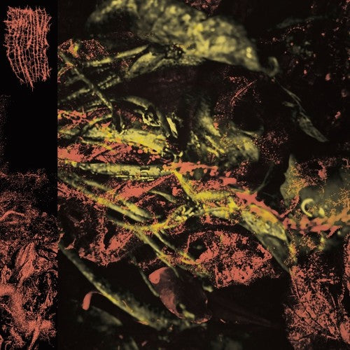 Hissing- Permanent Destitution ( Vinyl )