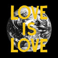 The Woods- Love Is Love ( Vinyl )