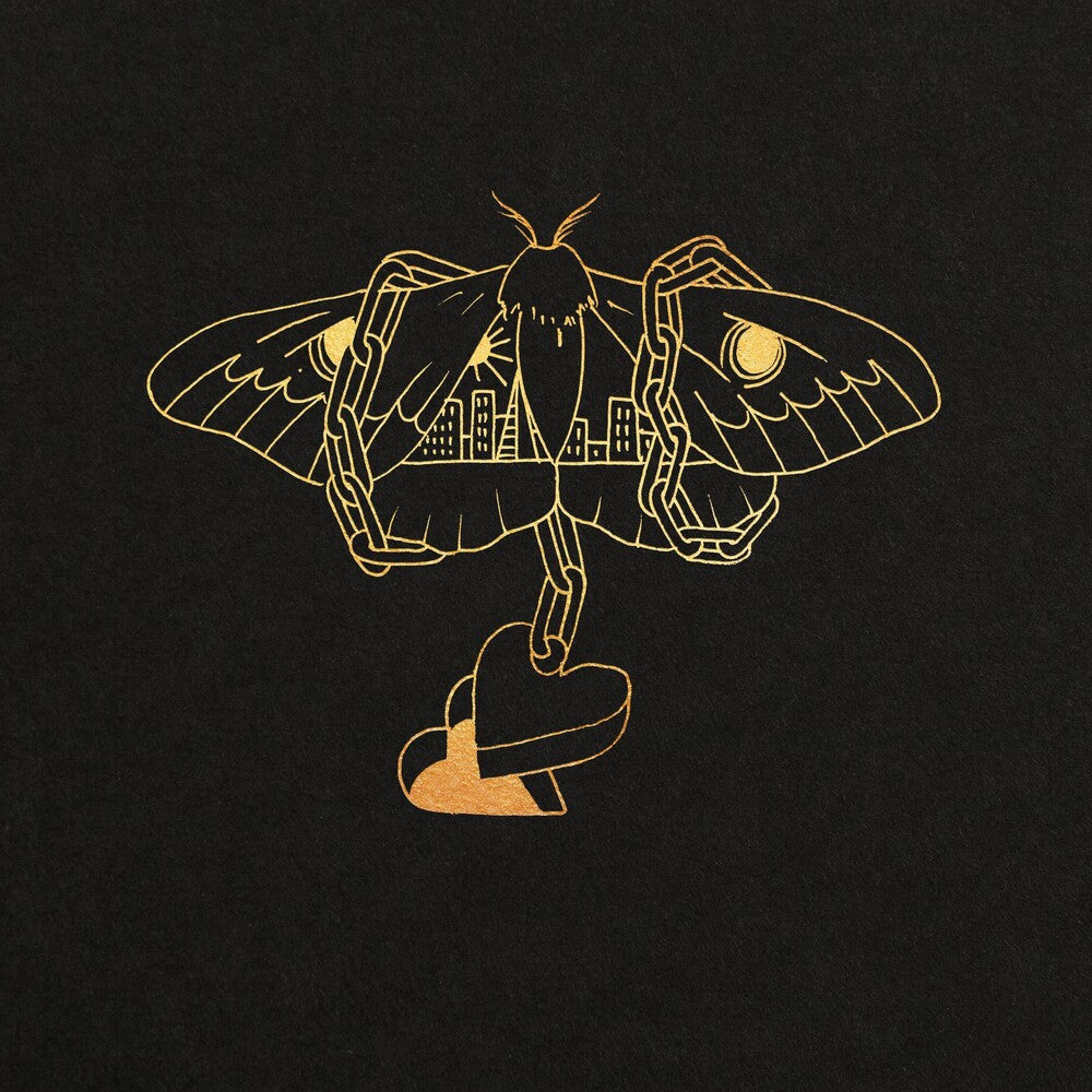 David Gray- Gold In A Brass Age [2LP] ( Vinyl )