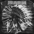 Wind In His Hair- Earthwrecker ( Vinyl )