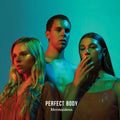 Mermaidens- Perfect Body ( Vinyl )