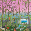 Caddywhompus- ODD HOURS ( Vinyl )
