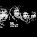The Rapture- Echoes ( Vinyl )