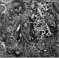 Werian- Animist ( Vinyl )