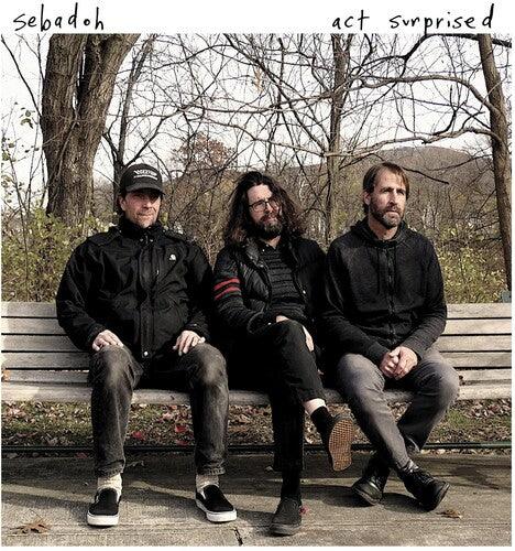 Sebadoh- Act Surprised ( Vinyl )
