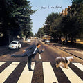 Paul McCartney- Paul Is Live ( Vinyl )
