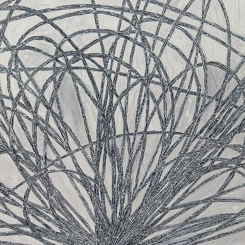 Stafraenn Hakon- Hausi ( Vinyl )