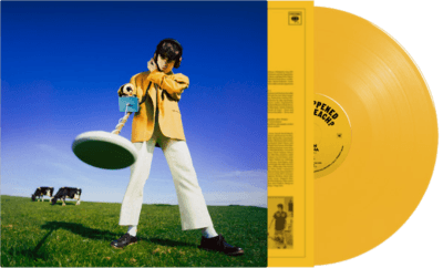 Declan McKenna- What Happened To The Beach? (Indie Exclusive Vinyl) ( Vinyl )