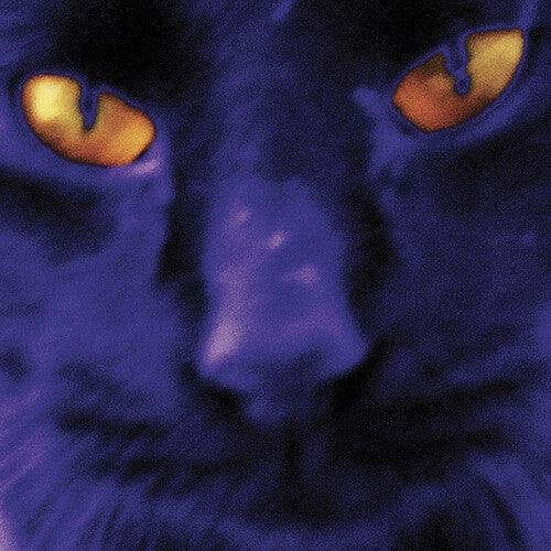 David Kilgour and the Heavy Eights- Bobbie's A Girl ( Vinyl )