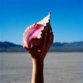 The Killers- Wonderful Wonderful ( Vinyl )