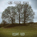 One Eleven Heavy- Desire Path ( Vinyl )