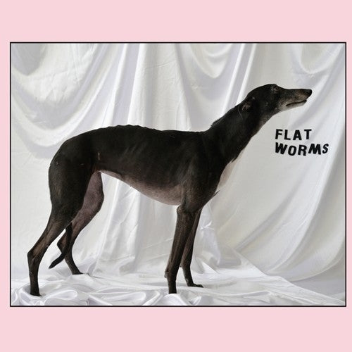 Flat Worms- Flat Worms ( Vinyl )