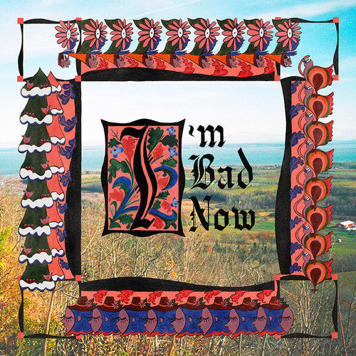 Nap Eyes- I'm Bad Now [LP] ( Vinyl )