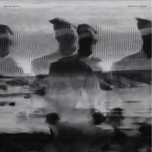 Routine Death- 2 Weeks To 4 ( Vinyl )