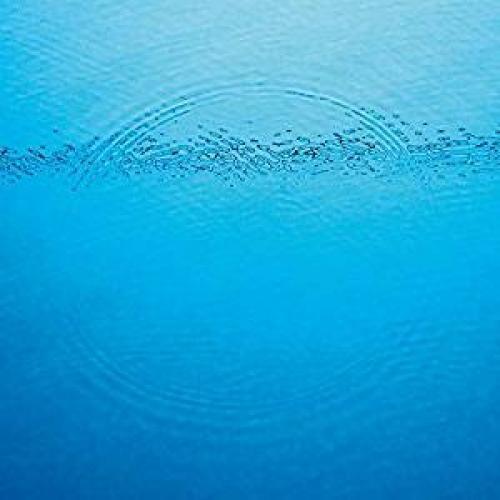 Caribou- Suddenly ( Vinyl )