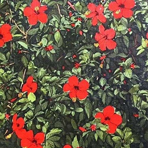 Real Live Tigers- Denatured ( Vinyl )