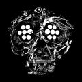 Young Widows- Decayed: Ten Years Of Cities Wounds Lightness Pain ( Vinyl )