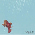 Real Friends- Composure ( Vinyl )