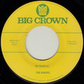 Shacks- My Name Is... / Sand Song ( Vinyl )