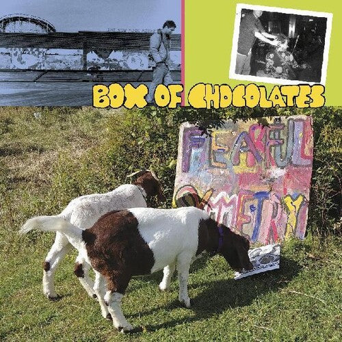 Box of Chocolates- Fearful Symmetry ( Vinyl )