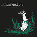 Blackboxred- Salt In My Eyes ( Vinyl )