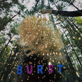 Snarls- Burst ( Vinyl )