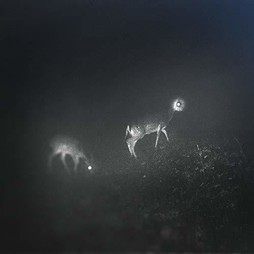 Bliss Signal- Bliss Signal [Limited Edition] ( Vinyl )