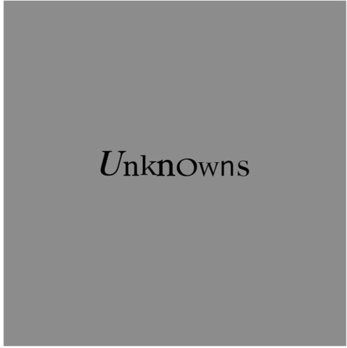 The Dead C- Unknowns ( Vinyl )