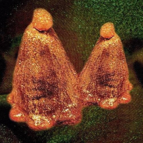 Black to Comm- Oocyte Oil & Stolen Androgens (Indie Exclusive Vinyl) ( Vinyl )