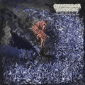 Of Feather & Bone- Sulfuric Disintegration ( Vinyl )