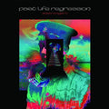 Adam Wingard- Past Life Regression ( Vinyl )