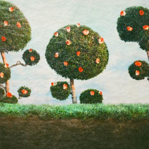 Midnight Sister- Painting the Roses ( Vinyl )