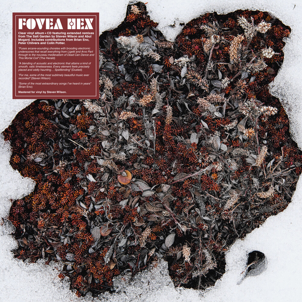 Fovea Hex- Salt Garden (Clear Vinyl) (W/Cd) [Clear Vinyl] ( Vinyl )